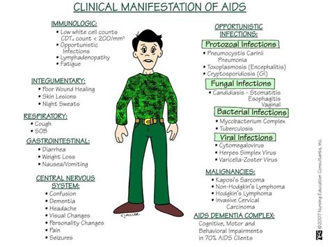 hiv is quizlet|hiv quizlet nursing.